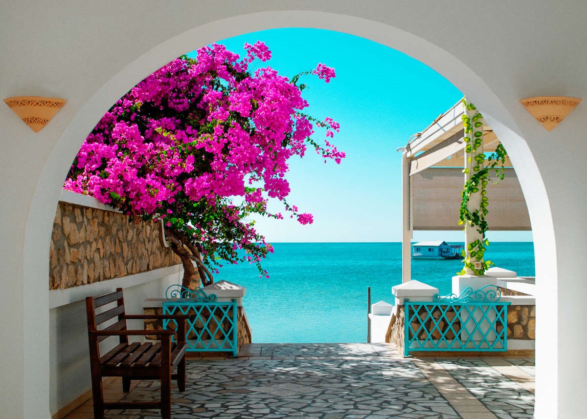 Why Choose Tunisia?